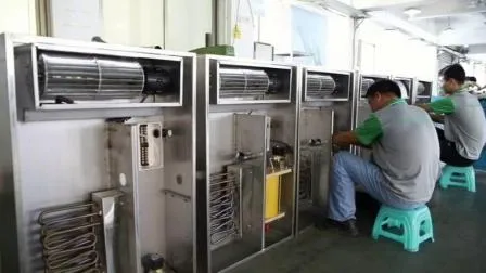 Фабрика напрямую продает ядро ​​грецкого ореха Синьцзян